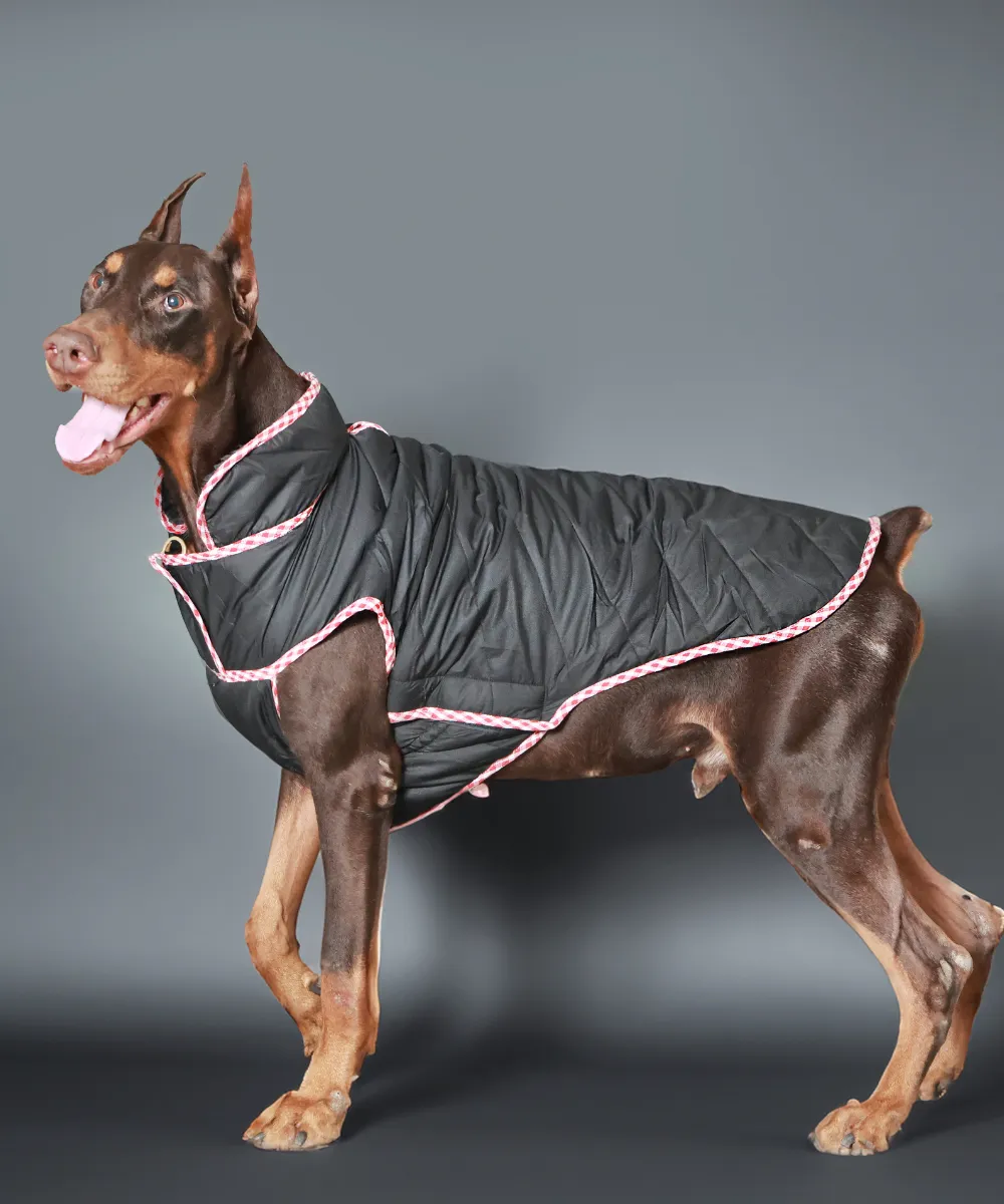 Dog Jacket-Red