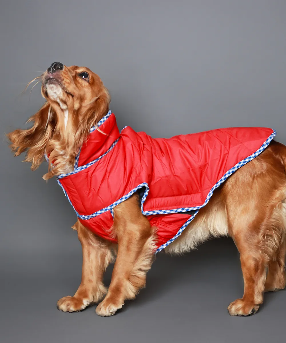 Dog Jacket-Red