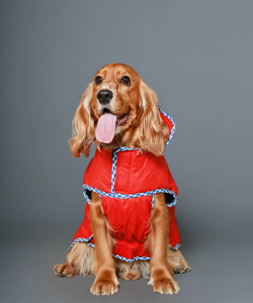 Dog Jacket-Red