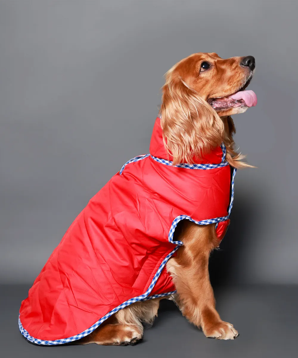 Dog Jacket-Red